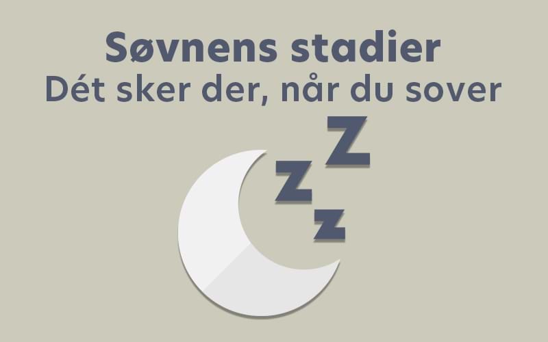 Søvnens stadier: Dét sker der, når du sover